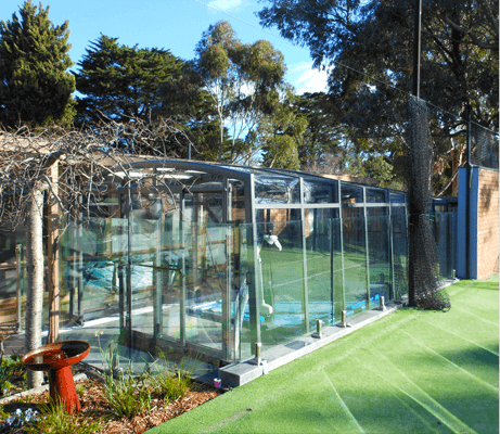 Photo of a Vision swimming pool enclosure